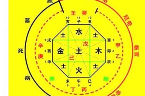 本命色查詢|生辰八字算命、五行喜用神查询（免费测算）